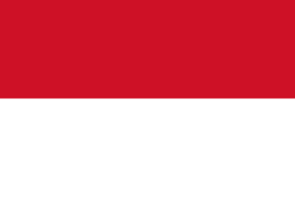 印度尼西亚 60天商务签证