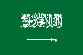 沙特 商务签证(自备邀请函)