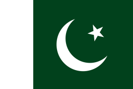 巴基斯坦 1年商务签证