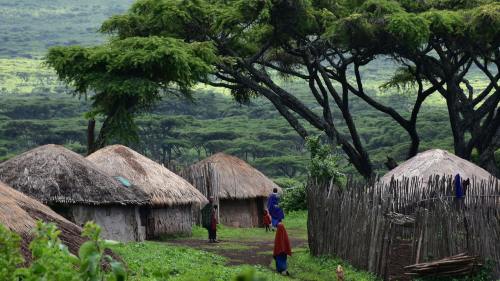 坦桑尼亚深度摄影桑岛奢享12日游 塞伦盖蒂守望者乞力马扎罗山